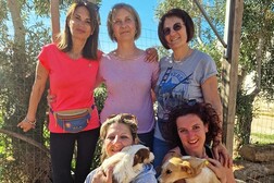 De Bérgamo a Sicilia para cuidar a los perros callejeros (ANSA)