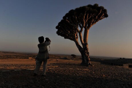 Gruppo di turisti italiani bloccati su isola Socotra nello Yemen