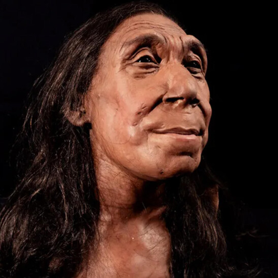 Ricostruito il volto di una donna Neandethal (fonte: BBC Studios/Jamie Simonds)