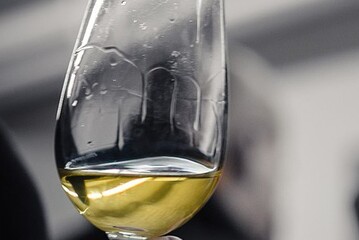 Cala l'età di chi ama il vino, ora 53,7% è sotto i 34 anni (fonte: Pixabay)