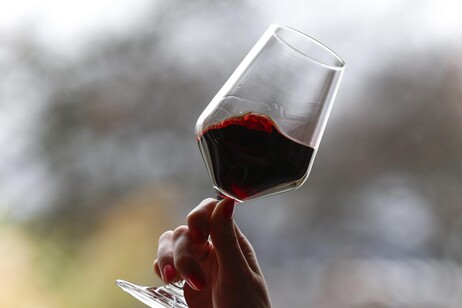 Uiv, 29,4 milioni i consumatori di vino in Italia nel 2023