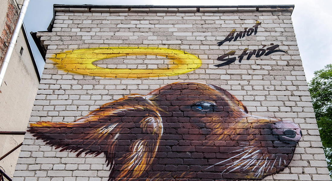 Mural Dog guardian angel in Pabianice © EPA