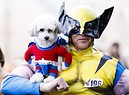 Evan Harding e il suo cane Bella in costumi da super eroi durante la 28/ma Dog Parade Halloween a Tompkins Square in East River Park a New York (ANSA)