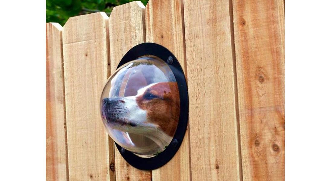 oblo per cane da inserire nella staccionata © ANSA