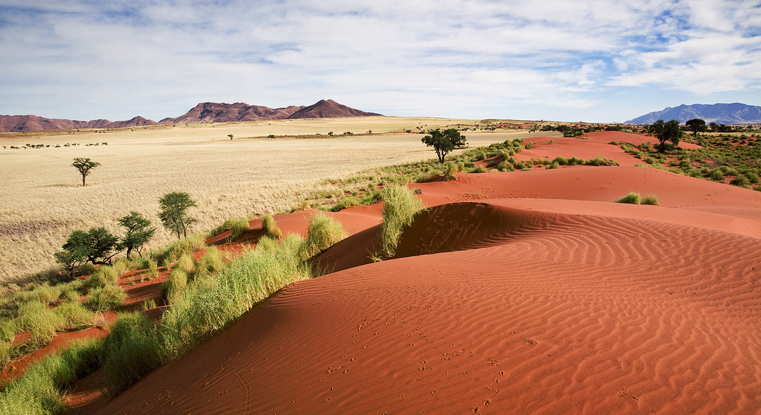 Namibia foto LucynaKoch iStock. © Ansa
