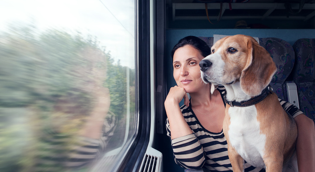 In treno con il cane. foto iStock. © Ansa