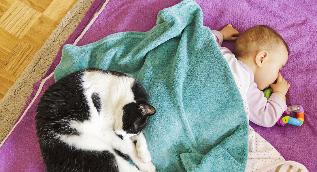 Un neonato e un gatto dormono sullo stesso letto foto iStock. © Ansa