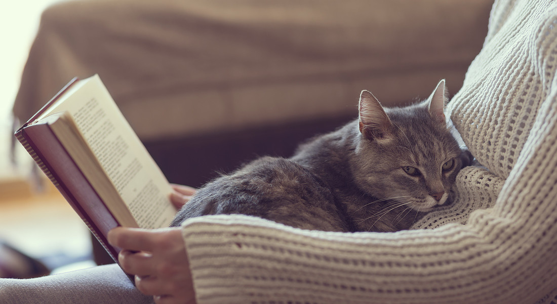 Una donna legge con un gatto in grembo foto iStock. © Ansa