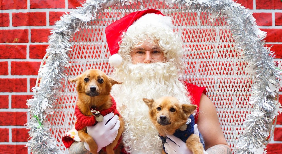 Pet Christmas: ritratti con Babbo Natale Ponyo e Indy (foto di Alessandra Baldini) © Ansa