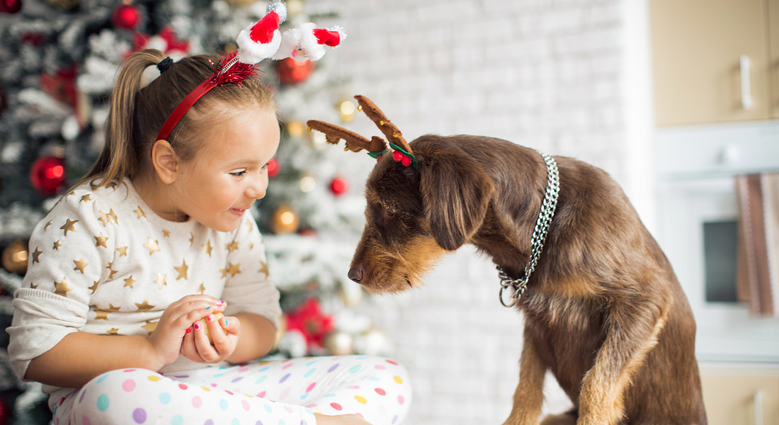 Un cane curioso, tenero e natalizio gioca con una bambina foto iStock. © Ansa