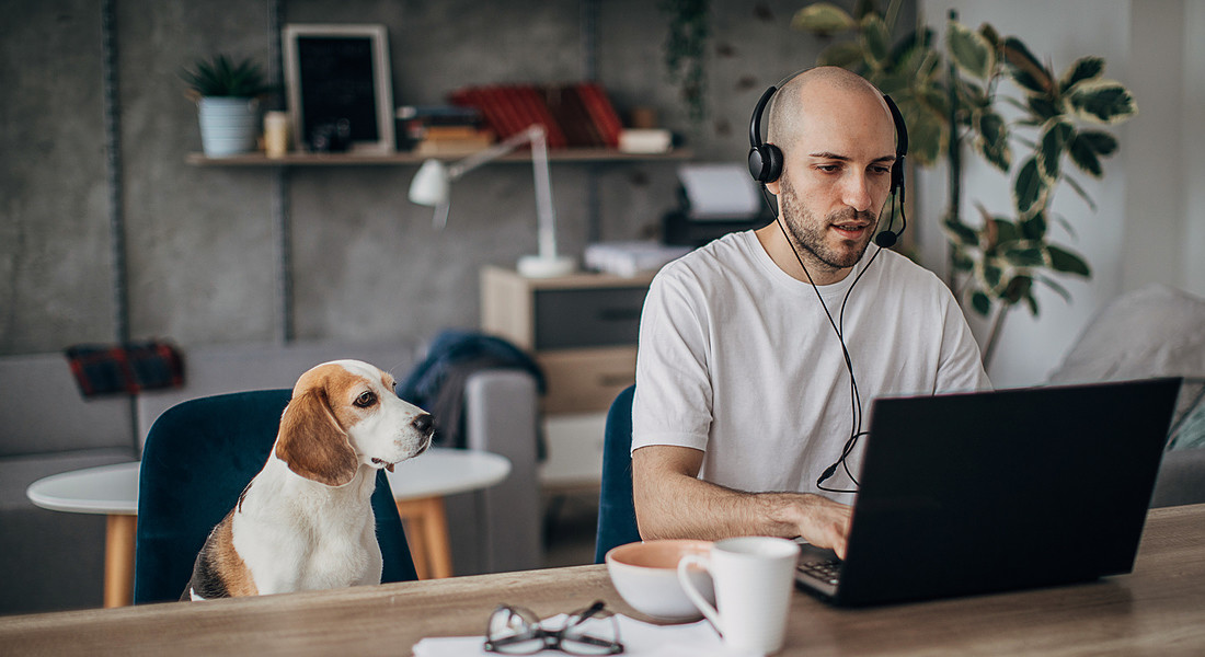 Attenta partecipazione di un cane mentre lui lavora al computer da casa. foto iStock. © Ansa