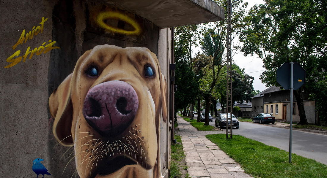 Mural Dog guardian angel in Pabianice © EPA