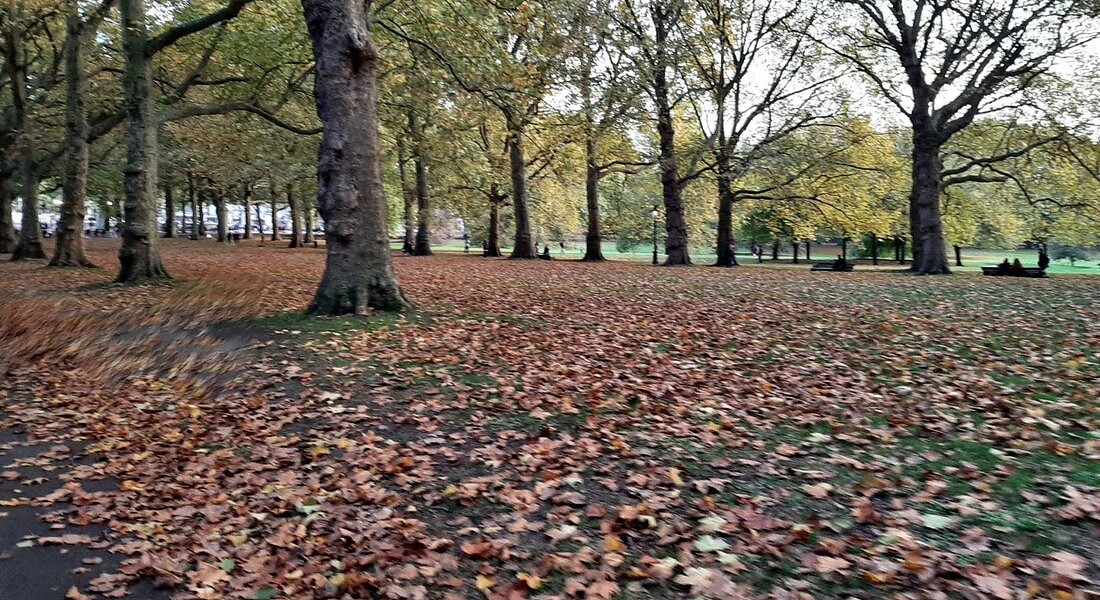 Green Park a Londra © Ansa