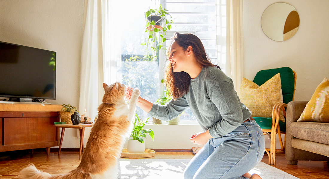 Nel soggiorno una donna gioca con il suo gatto © Ansa