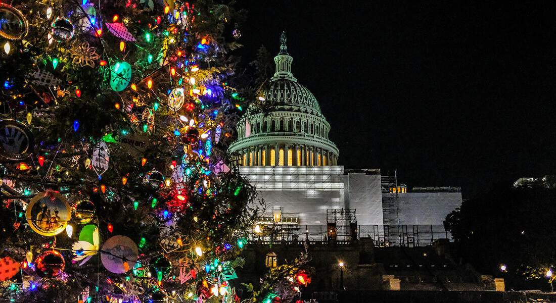 Washington: albero di Natale al Campidoglio © ANSA