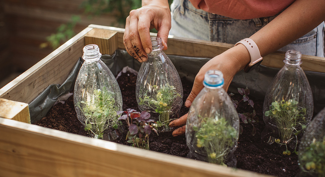 Use old plastic bottles in garden - iStock. © Ansa