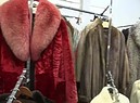 San Francisco vieta la vendita di pellicce (ANSA)