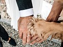matrimonio Filippa Lagerback e Daniele Bossari - 2 giugno 2018 (ANSA)