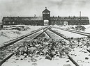 76th anniversary of the liberation of former German Nazi concentration and extermination camp Auschwitz-Birkenau (ANSA)