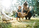 Family With Chickens at Small Home Farm (ANSA)