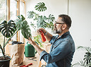Un uomo si rilassa curando le piante in un appartamento foto iStock. (ANSA)