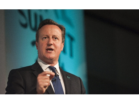 Primer Ministro David Cameron  (ANSA)