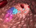 Rappresentazione artistica della generazione delle cellule del sangue nel tessuto embrionale (fonte: O'Reilly Science Art) (ANSA)