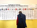 Un elettore osserva i simboli in un seggio nel giorno delle elezioni europee (ANSA)