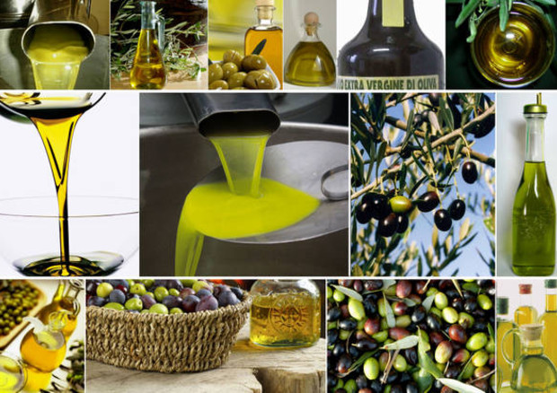 Sottosegretrairo Pesce, entro l'anno un tavolo di lavoro per valorizzare l'olio extravergine di oliva © ANSA