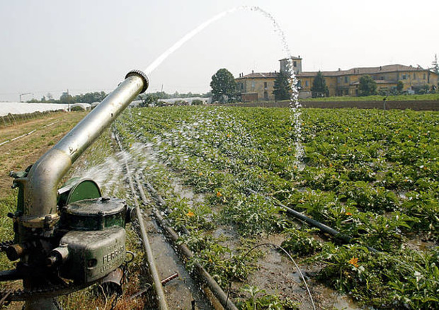 Agricoltura: Bellanova, fondi europei per irrigazione © ANSA