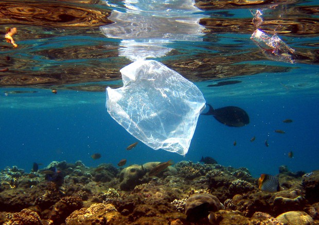 Costa, presto leggi ad hoc sulla plastica in mare © ANSA 