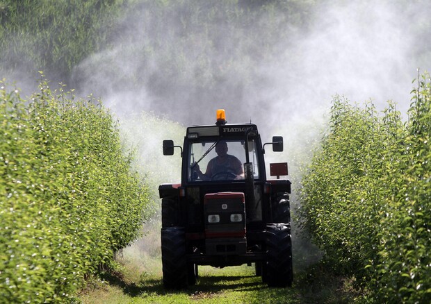 Agricoltura: Parlamento Ue approva riforma Pac © ANSA