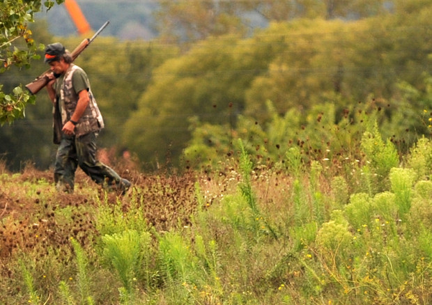 Covid: Enpa, stop a caccia anche in zone gialle e arancione © ANSA