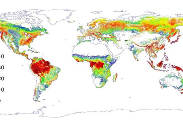 La mappa di tutte le aree verdi del pianeta, in uno studio realizzato grazie all''occhio laser'  del satellite IceSat della Nasa e diffuso nel 2012 (WWW.JPL.NASA.GOV ) © ANSA