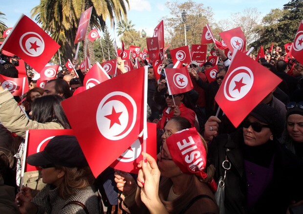 Ue-Tunisia: Panzeri, sfide comuni da affrontare © ANSA 