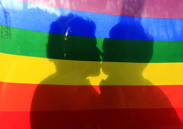 Gay: Ue, Parlamento chiede riconoscimento coppie di fatto © EPA