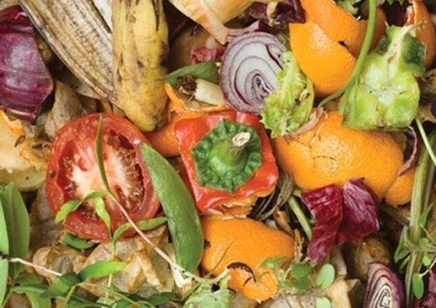 Rifiuti: Ue vuole dimezzare spreco cibo entro il 2020 © ANSA