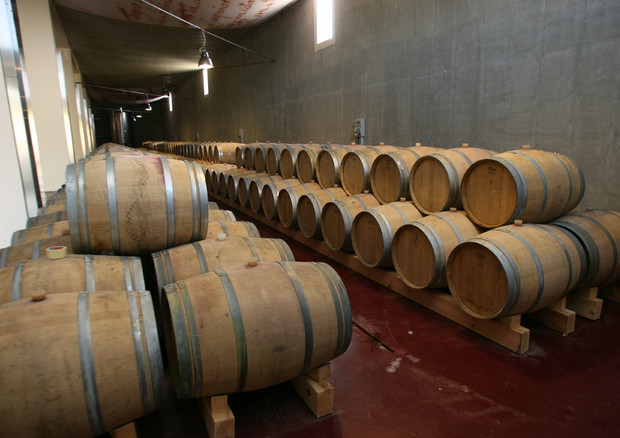 Confagricoltura, per vino toscano calo del 30% e perdita di 100 mln © ANSA 