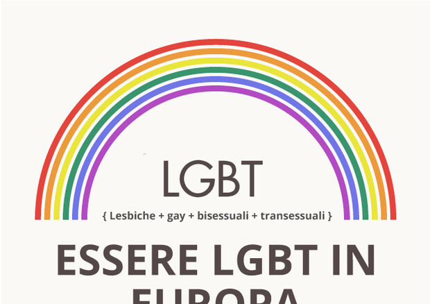 Infografica LGBT © Ansa