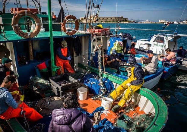 Pesca: accordo su fondi Ue 2014-2020, a Italia oltre 400 mln © ANSA