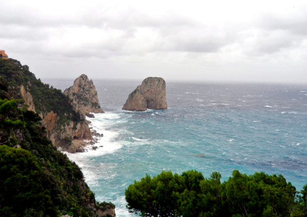 Area Marina Protetta di Capri, ministro Costa avvia iter © ANSA