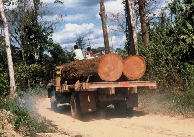 Deforestazione in Amazzonia © Ansa