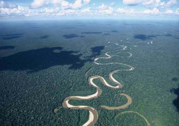 Un fiume in Amazzonia © Ansa