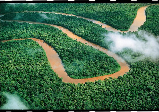 Amazzonia - Tipica serpentina giallastra dei piccoli e grandi affluenti del Rio delle Amazzoni. © ANSA