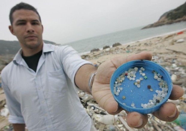 Greenpeace, troppa plastica in pesci e frutti di mare © ANSA