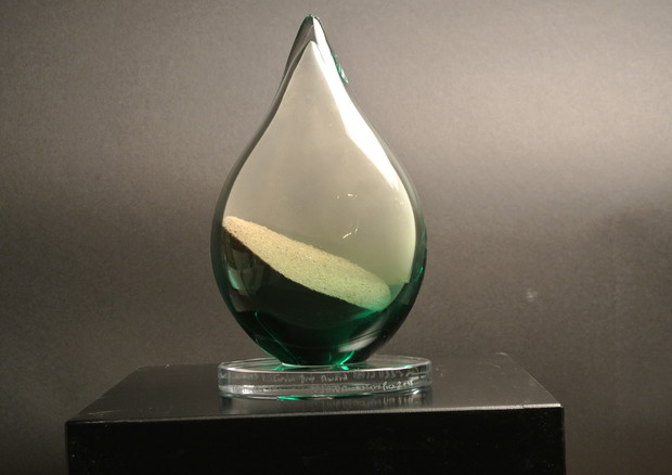 A Venezia il Green Drop Award al film più ecologista © Ansa