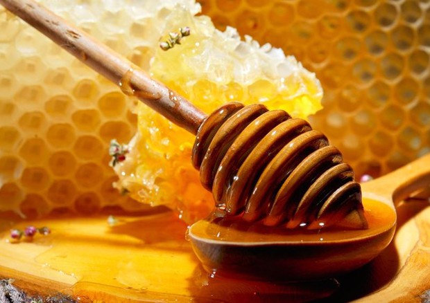 Ue, produzione miele in Italia è in crescita © ANSA