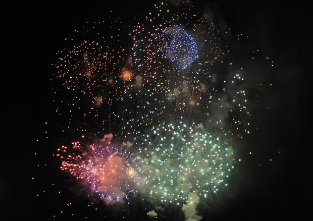 Galletti, ecco le norme per smaltire i fuochi d'artificio © ANSA