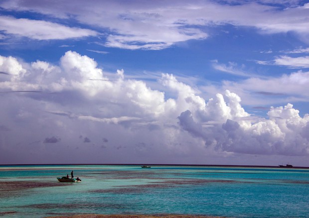 Sbiancamento coralli record anche alle Maldive (Foto: XL Catlin Seaview Survey) © ANSA