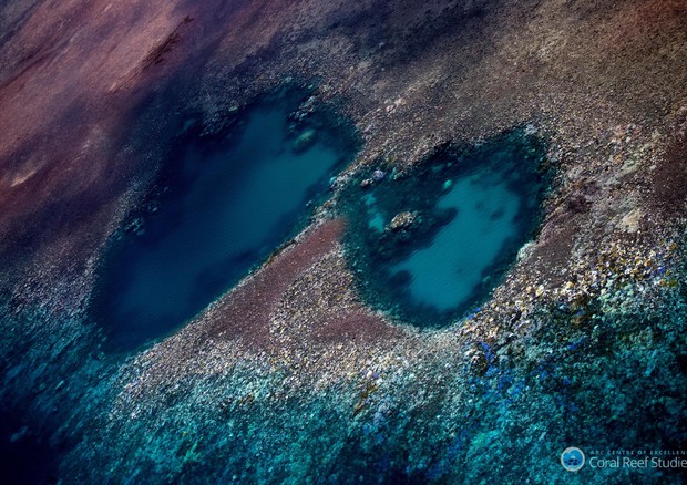 Grande Barriera Corallina (Credit: Coral ARC Center) © ANSA
